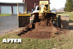 Affordable Tree Service - Services: Stump Grinding